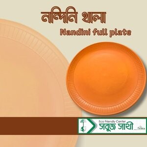 Nandini Full plate