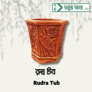 Rudra Tub