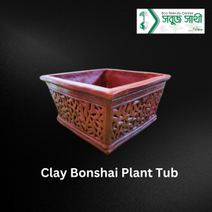 Clay Bonsai Plant Tub